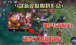 伽罗新皮肤 爆料图视频,视觉盛宴与神秘元素交织